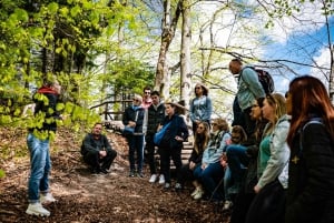 Från Zagreb: Heldagstur till nationalparken Plitvicesjöarna