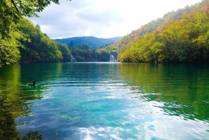 From Zagreb: Plitvice Lakes Guided Day Trip