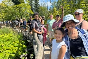 Из Загреба: тур на целый день в национальный парк Плитвицкие озера