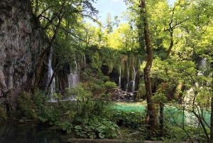 Fra Zagreb: Plitvice-søerne med billet & Rastoke-dagstur