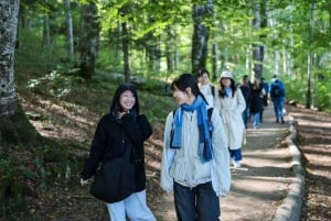 De Zagreb: Viagem guiada de 1 dia a Rastoke e aos lagos Plitvice