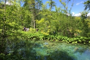 Da Zagabria: Rastoke e Laghi di Plitvice in piccolo gruppo con biglietto