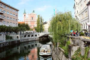 Heldagstur fra Zagreb til det beste av Slovenia