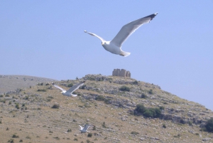 Heldagsudflugt med båd fra Zadar og Sukošan til Kornati NP