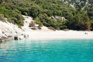 Ganztägige Bootstour Medulin, blaue Höhle, Cres + Delphinsuche