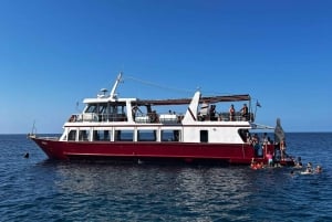 Ganztägige Bootstour Medulin, blaue Höhle, Cres + Delphinsuche