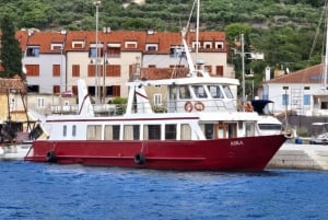 Ganztägige Bootstour Medulin, blaue Höhle, Cres + Delphinsuche