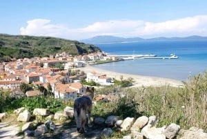 Ganztägige Bootstour Medulin, blaue Höhle, Cres + Delphinsuche