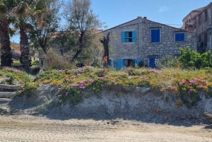 Ganztägige Bootstour Medulin, blaue Höhle, Cres + Delphinsuche