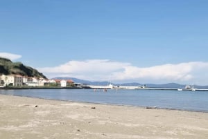 Ganztägige Bootstour Medulin, blaue Höhle, Cres + Delphinsuche