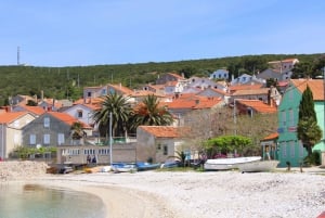 Ganztägige Bootstour Medulin, blaue Höhle, Cres + Delphinsuche