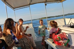 Funtana: Dolphin safari, drinks included