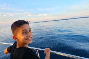 Funtana: Dolphin safari, drinks included