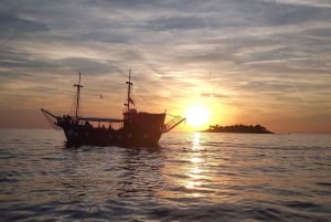 Funtana: Dolphin safari, drinks included