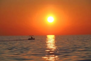 Funtana: Dolphin safari, drinks included