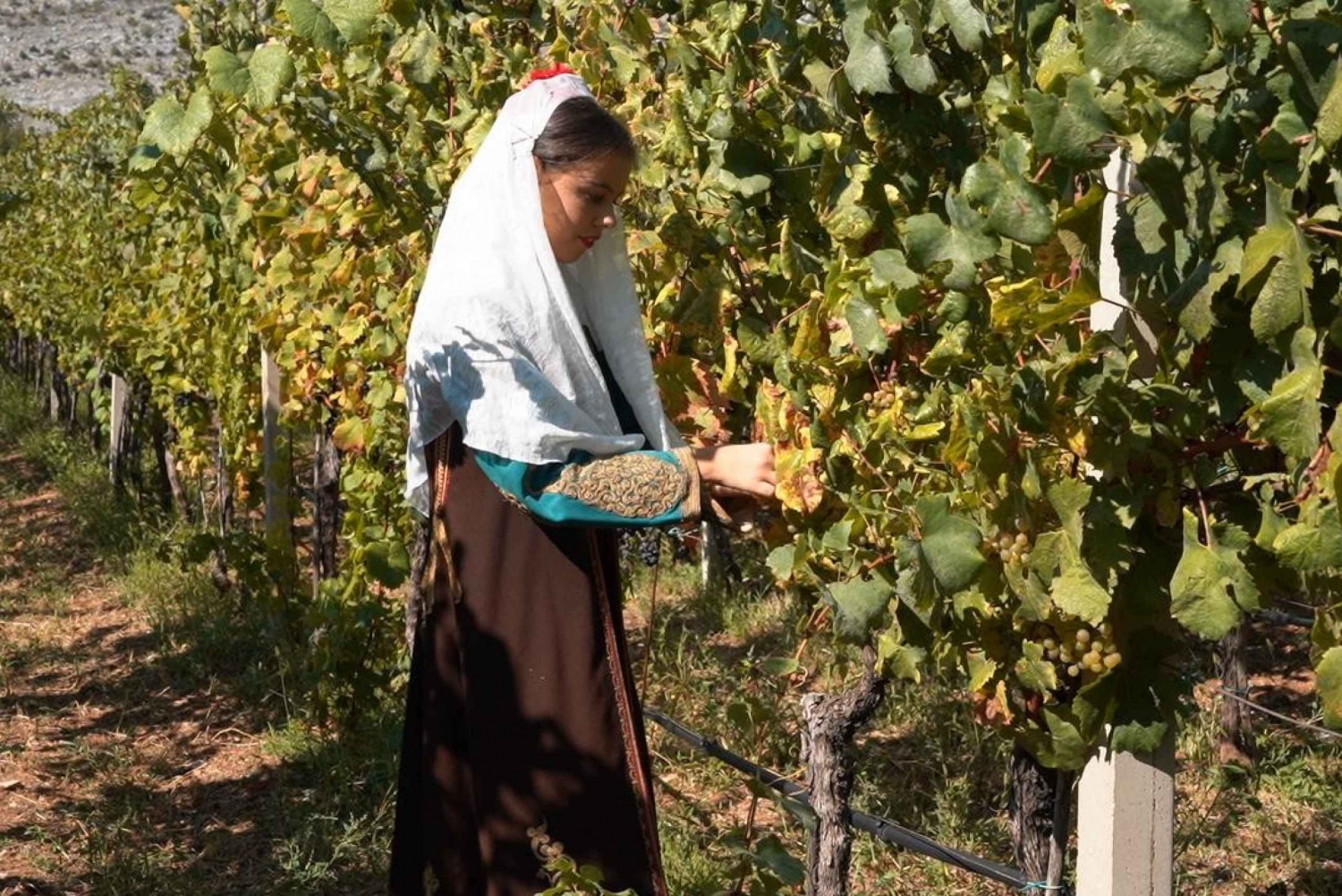 Suuri viinitilakierros Montenegrosta: Montenegro: 3 maata yhdessä päivässä