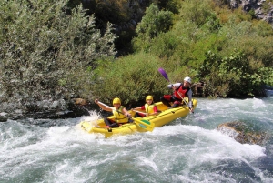 Cetina-floden: Halvdagstur med rafting