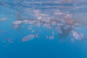 Pula: Puolen päivän purjehduskokemus juomineen, GoPro-kameralla ja SUP-laudalla
