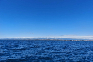 Båttur fra Zadar: Preko – Hidden Bay – Ošljak