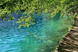 Tour di mezza giornata intorno ai laghi di Plitvice