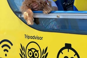 Hoppa på och hoppa av den gula cabriolet: Se Dubrovnik på 90 minuter