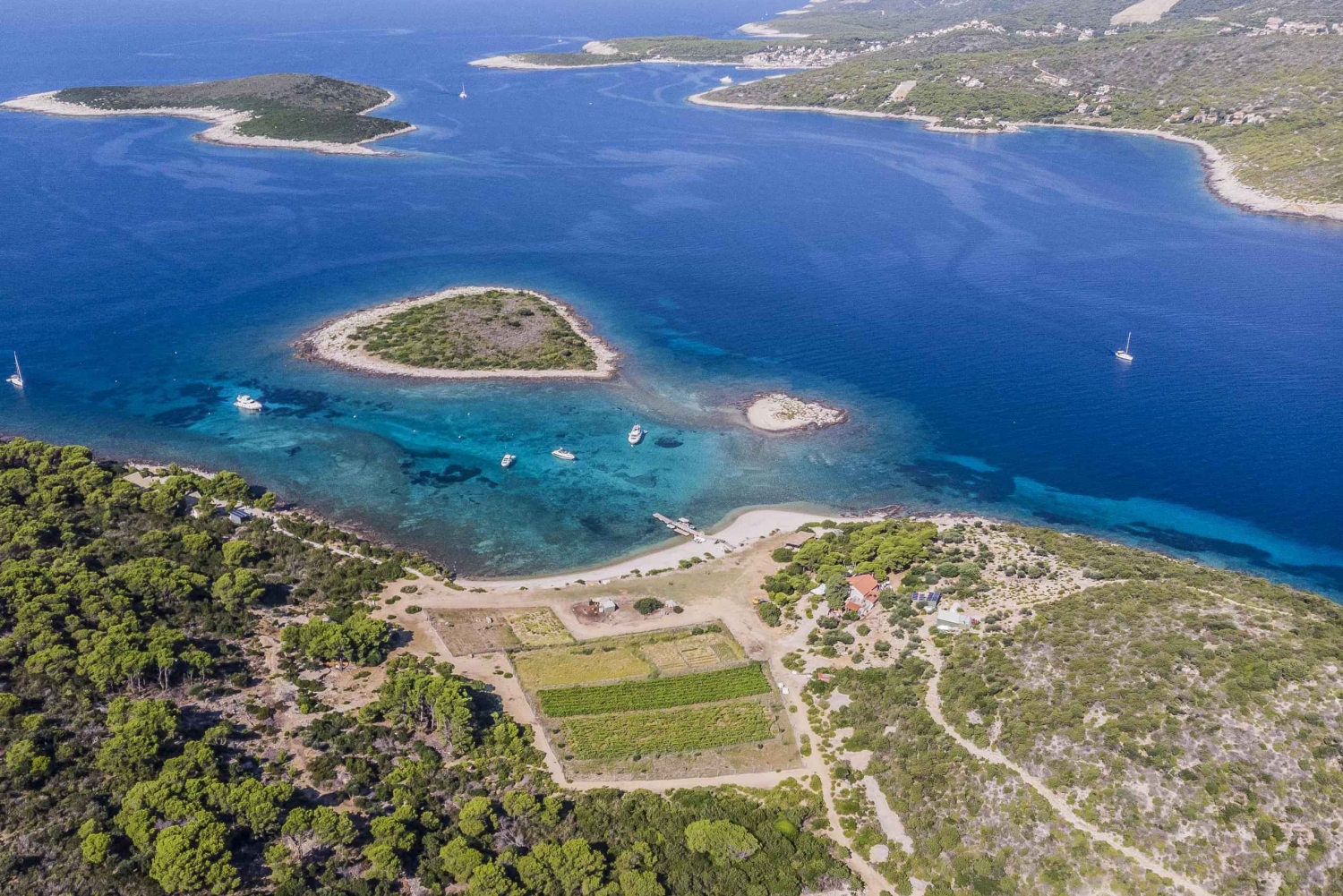 Хвар: лодочный тур по Голубым и Зеленым пещерам с пляжем Стинива