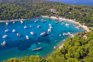 Hvar: Blå & grøn grotte gruppeudflugt fra Hvar