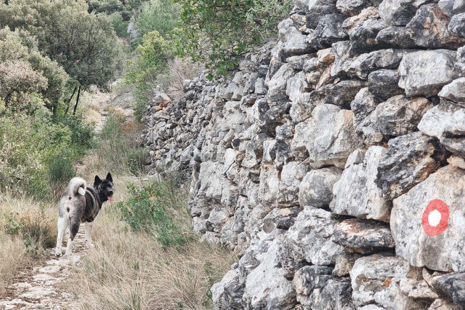 Hvar: Guided Hiking Tour in the Countryside