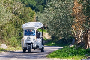 Hvar Island: eTuk Tuk Adventure Tour with a Guide