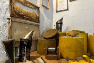 Hvar Island: eTuk Tuk Adventure Tour with a Guide