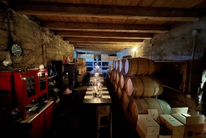 Hvar island: taste wines and discover history of making wine