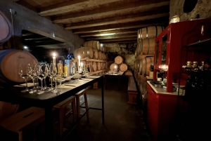 Hvar island: taste wines and discover history of making wine
