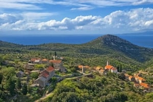 Hvar: Ø-tur med vin- og olivenoliesmagning