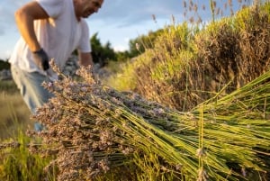 Hvar: Lavendelfält, honung och provsmakning av lokala produkter
