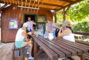 Hvar: Lavendelfält, honung och provsmakning av lokala produkter