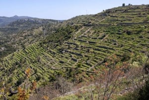 Hvar: Lavendelfält, honung och provsmakning av lokala produkter
