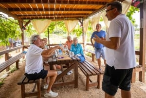 Hvar: Lavendelfält, honung och provsmakning av lokala produkter