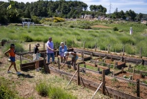 Hvar: Lavendelfält, honung och provsmakning av lokala produkter