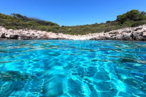 Hvar: Private Segelbootstour mit Schwimmen und Schnorcheln