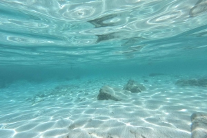 Hvar: Private Segelbootstour mit Schwimmen und Schnorcheln