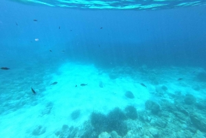 Hvar: Private Segelbootstour mit Schwimmen und Schnorcheln