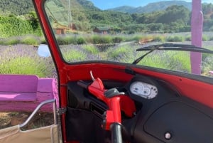 Hvar: Tuk Tuk Inselrundfahrt