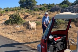 Hvar: Tuk Tuk Inselrundfahrt