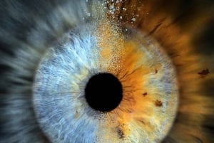 IRIS Photography (macro photo of your eye)