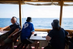 Öluffning och stadskretsar med mat och öppen bar