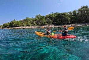 Excursion en kayak sur l'île de Losinj