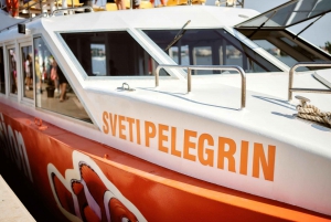 Istria: Aquavision Glassboat panoramic tour of Umag