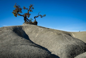 Powiat Istria: sesja coachingowa z przewodnikiem po wspinaczce skałkowej