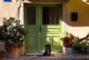 Powiat Istria: sesja coachingowa z przewodnikiem po wspinaczce skałkowej