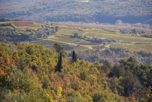 Powiat Istria: sesja coachingowa z przewodnikiem po wspinaczce skałkowej